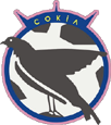 логотип Сокіл